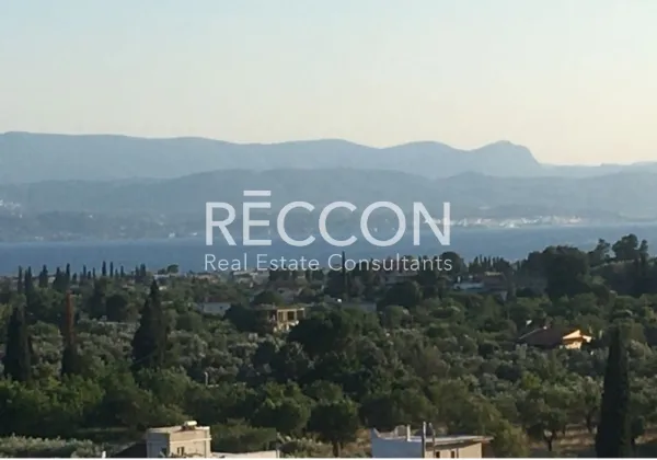 Αγροτεμάχιο 12200τ.μ.  - 2