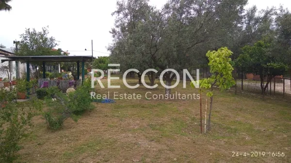 Detached house 240m²  - 3