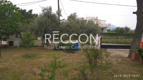 Detached house 240m²  - 4