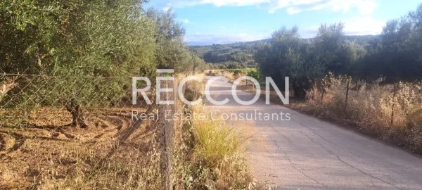 Land Parcel 2500m²  - 2