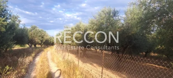 Land Parcel 2500m²  - 3