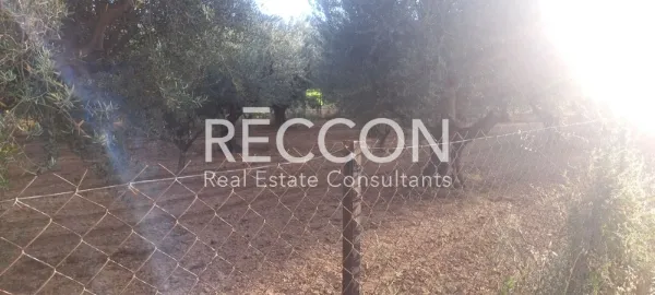 Land Parcel 2500m²  - 5