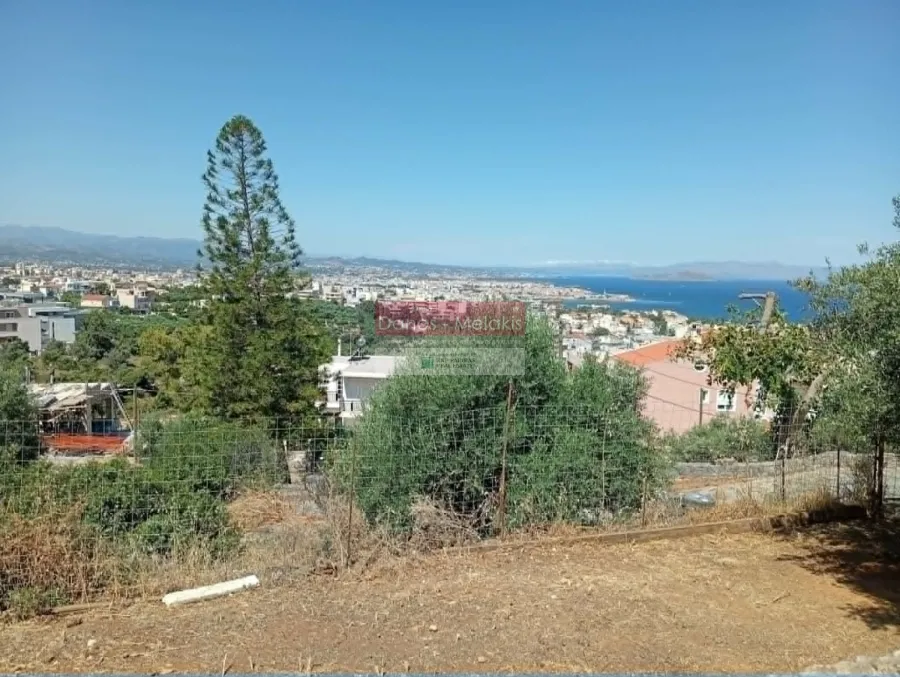 Οικόπεδο 1462τ.μ.  - 4