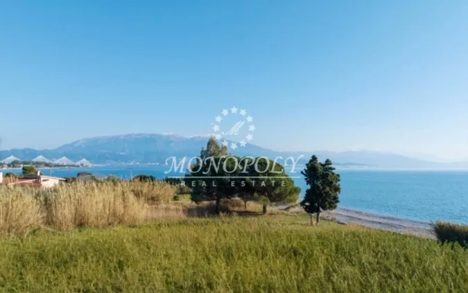 Οικόπεδο 6544τ.μ.  - 4