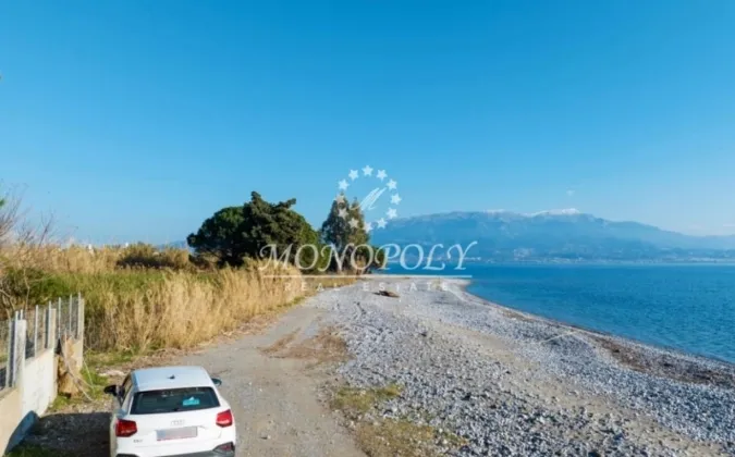 Οικόπεδο 6544τ.μ.  - 5