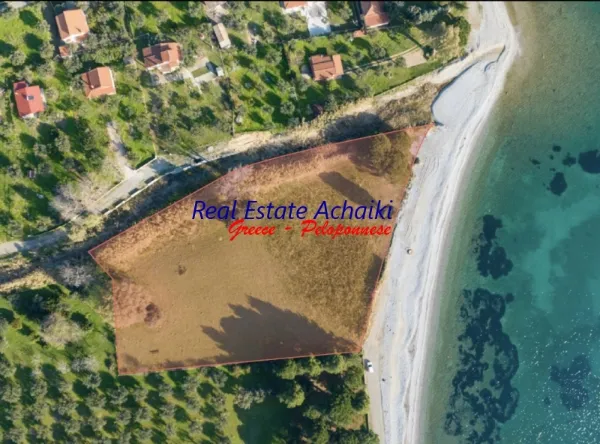 Οικόπεδο 6544τ.μ.  - 4