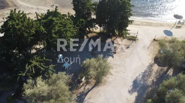 Αίθουσα / Εκθεσιακός χώρος 73τ.μ.  - 2