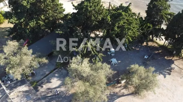 Αίθουσα / Εκθεσιακός χώρος 73τ.μ.  - 3