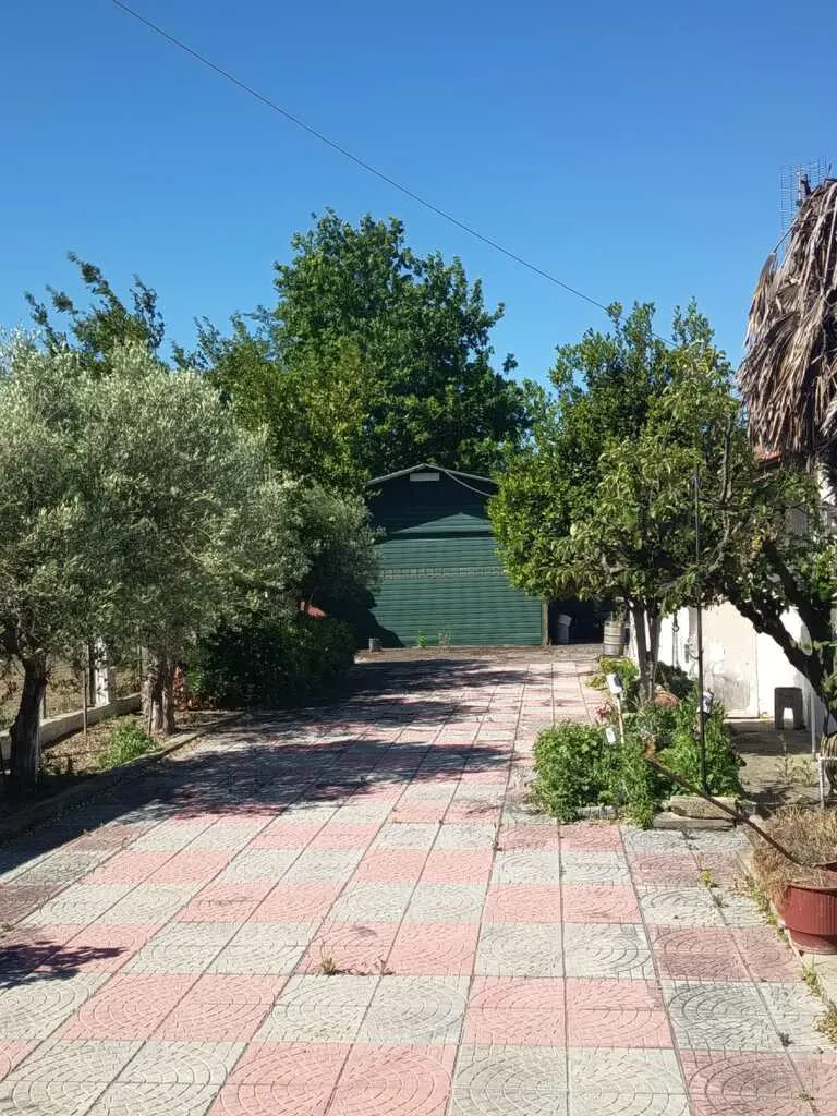 Μονοκατοικία 110τ.μ.  - 3