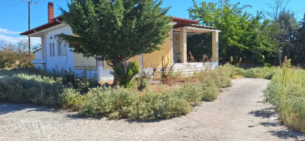 Detached house 200m²  - 3