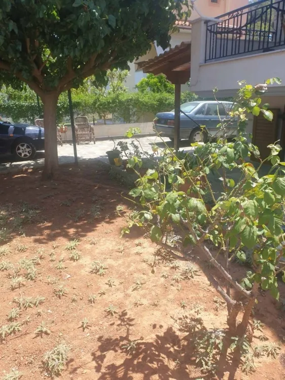 Detached house 140m²  - 4