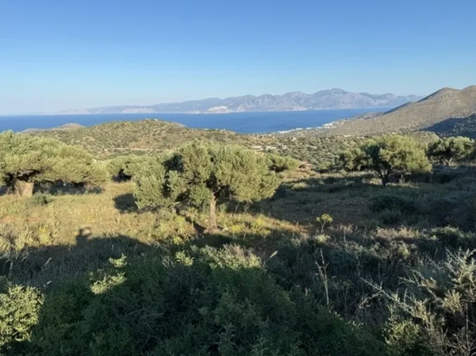 Plot 2883m²  - 3