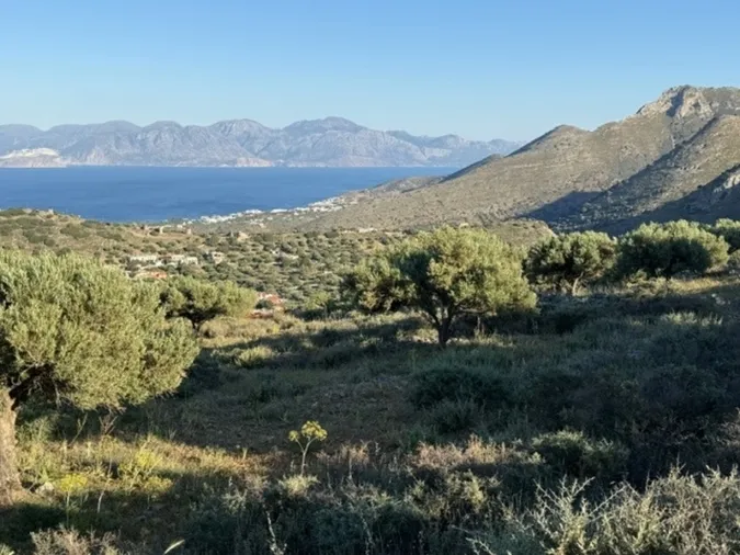 Plot 2883m²  - 4