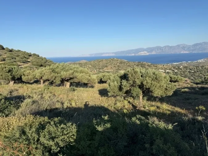 Plot 2883m²  - 5