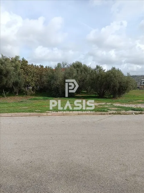 Plot 430m²  - 2