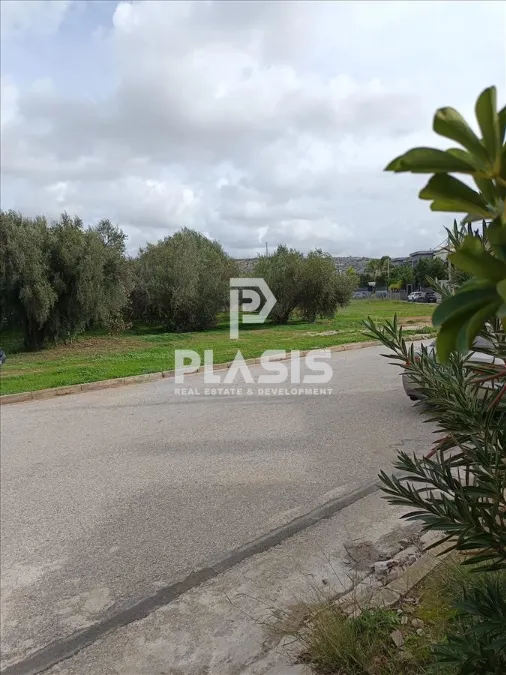 Plot 430m²  - 3