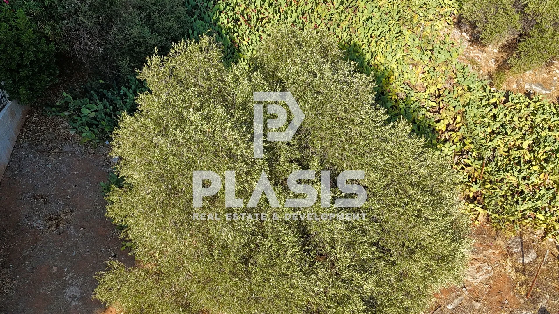 Plot 351m²  - 5