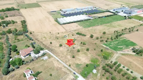 Αγροτεμάχιο 11630τ.μ.  - 4