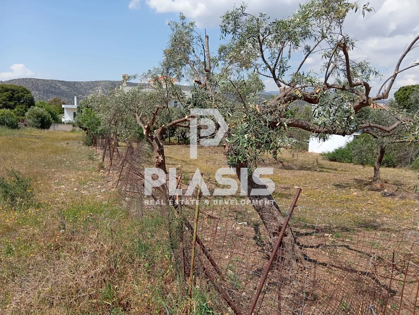 Plot 1030m²  - 3