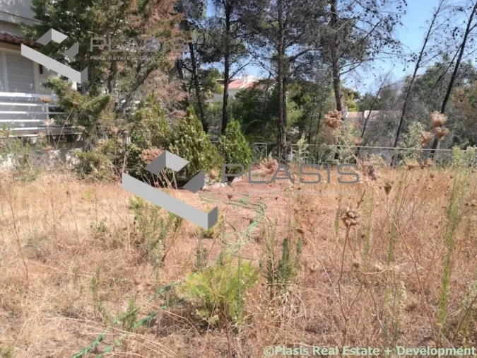 Μονοκατοικία 220τ.μ.  - 5