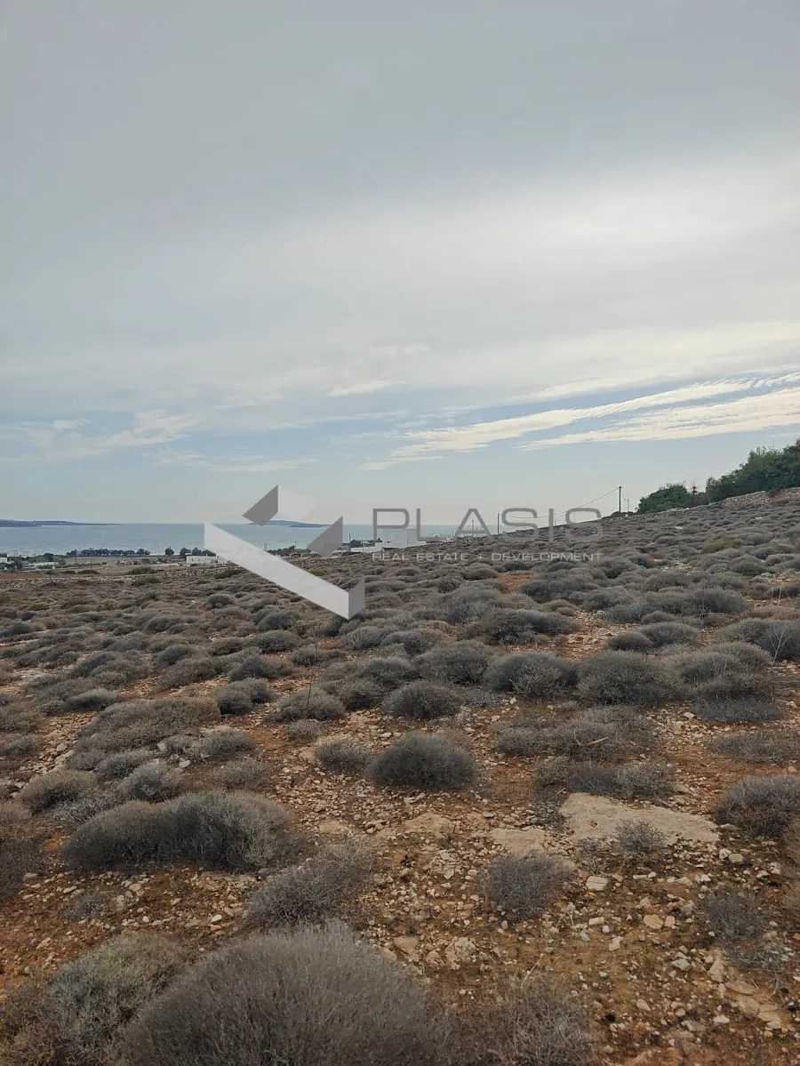 Αγροτεμάχιο 7700τ.μ.  - 2