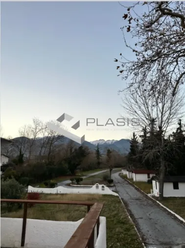 Οικόπεδο 11000τ.μ.  - 3