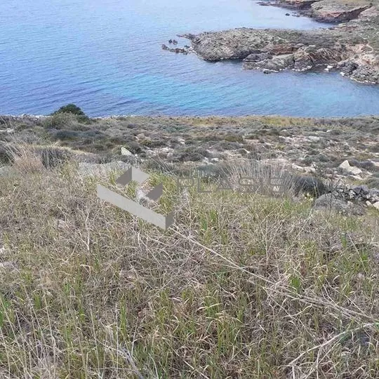 Οικόπεδο 4500τ.μ.  - 2