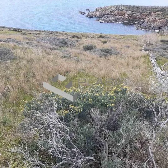 Οικόπεδο 4500τ.μ.  - 4