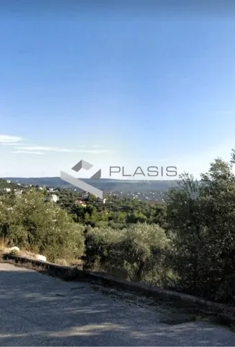 Plot 1030m²  - 3