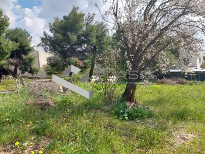 Plot 1600m²  - 2