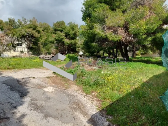 Plot 1600m²  - 3