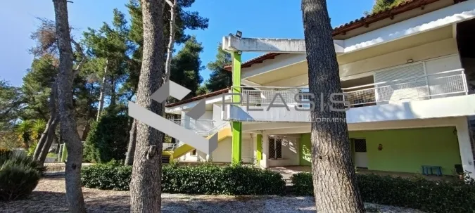 Μονοκατοικία 430τ.μ.  - 2