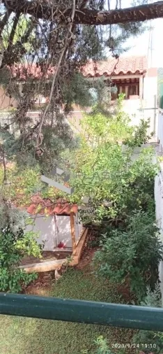 Μονοκατοικία 292τ.μ.  - 3