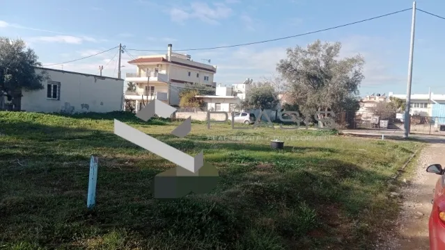 Plot 170m²  - 3