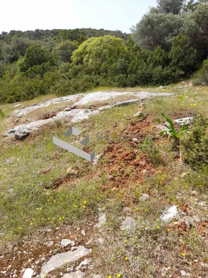 Άλλο.. 300000τ.μ. Έκταση  - 2