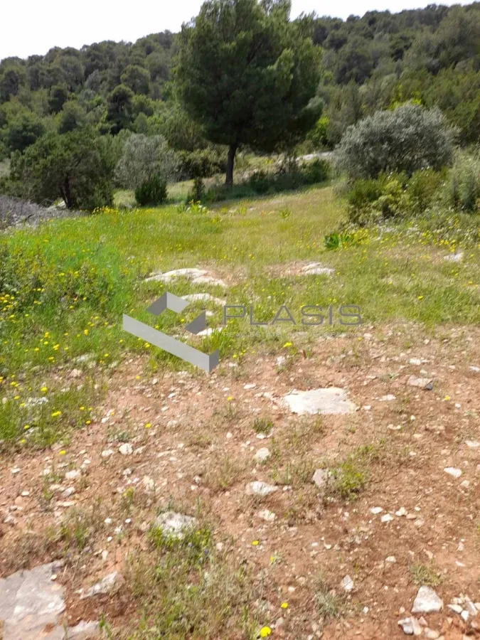 Άλλο.. 300000τ.μ. Έκταση  - 4