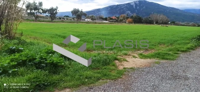 Αγροτεμάχιο 9500τ.μ.  - 2