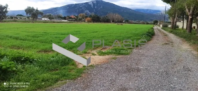 Αγροτεμάχιο 9500τ.μ.  - 4