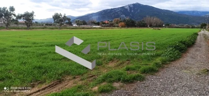 Αγροτεμάχιο 9500τ.μ.  - 5