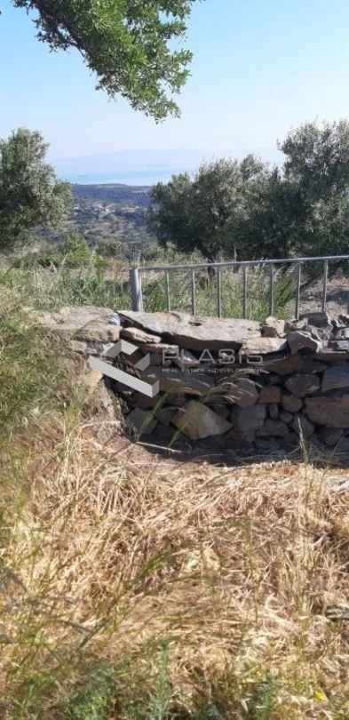 Οικόπεδο 18781τ.μ.  - 3