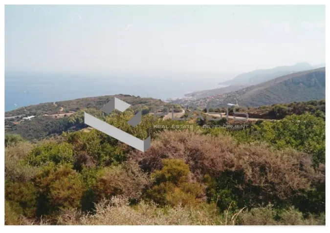 Οικόπεδο 18781τ.μ.  - 5