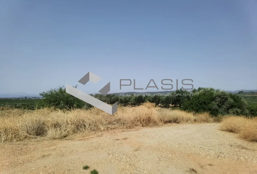 Οικόπεδο 5810τ.μ.  - 3