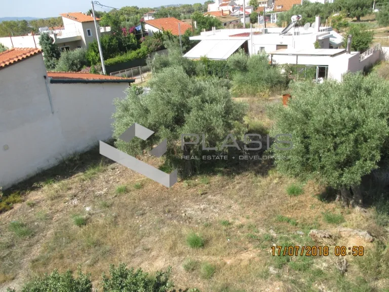 Μονοκατοικία 250τ.μ.  - 3