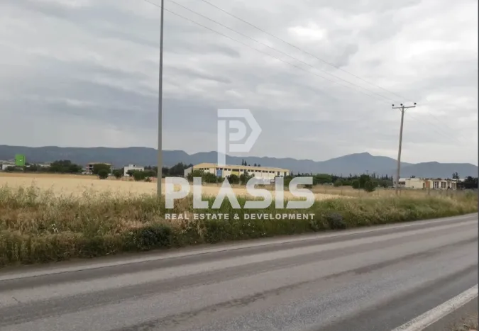 Αγροτεμάχιο 8000τ.μ.  - 3