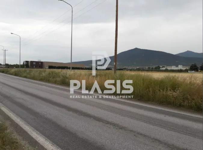 Αγροτεμάχιο 8000τ.μ.  - 4