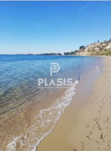 Αγροτεμάχιο 11675τ.μ.  - 2