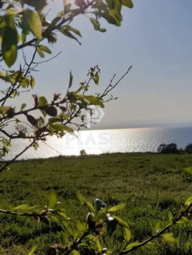 Αγροτεμάχιο 11675τ.μ.  - 3