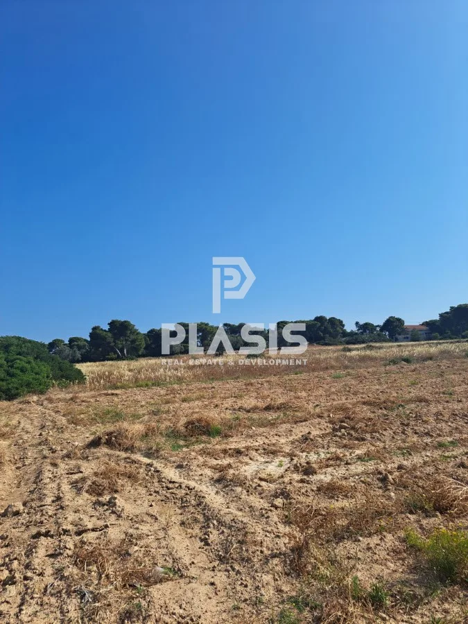 Αγροτεμάχιο 7200τ.μ.  - 2