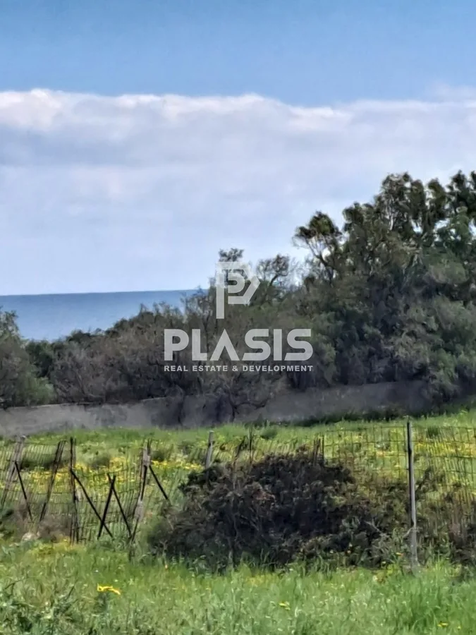 Οικόπεδο 8069τ.μ.  - 2
