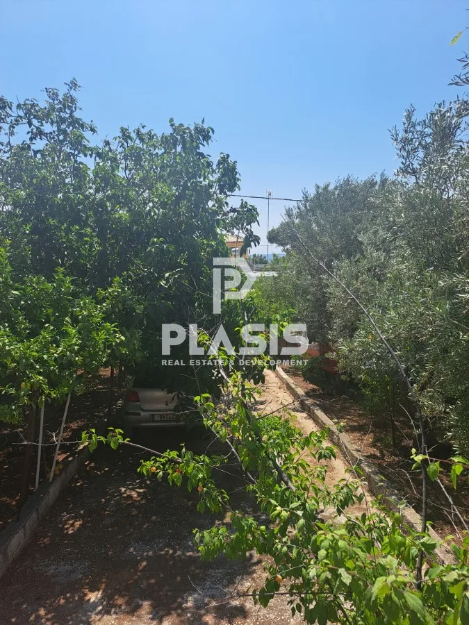 Μονοκατοικία 30τ.μ.  - 2